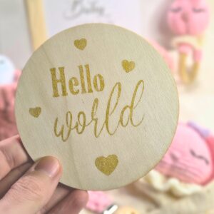 Placa Hello World